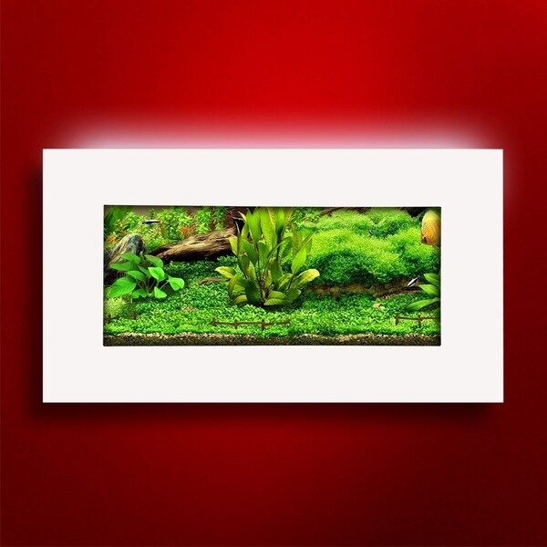 wall mounted aquarium