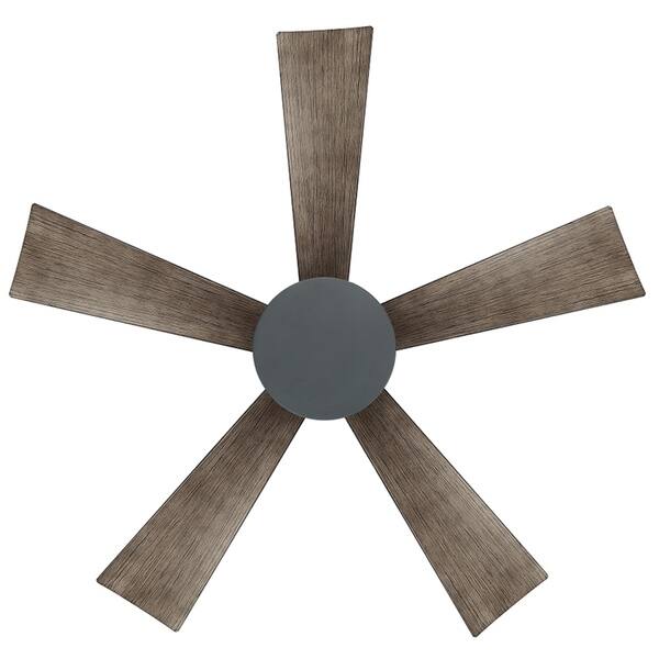 Shop Wynd 42 Inch Five Blade Indoor Outdoor Smart Ceiling Fan