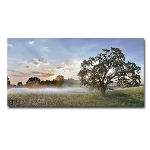 Sonoma Oak 3 by Alan Blaustein Gallery Wrapped Canvas Giclee Art (18 in x 36 in, Ready to Hang)