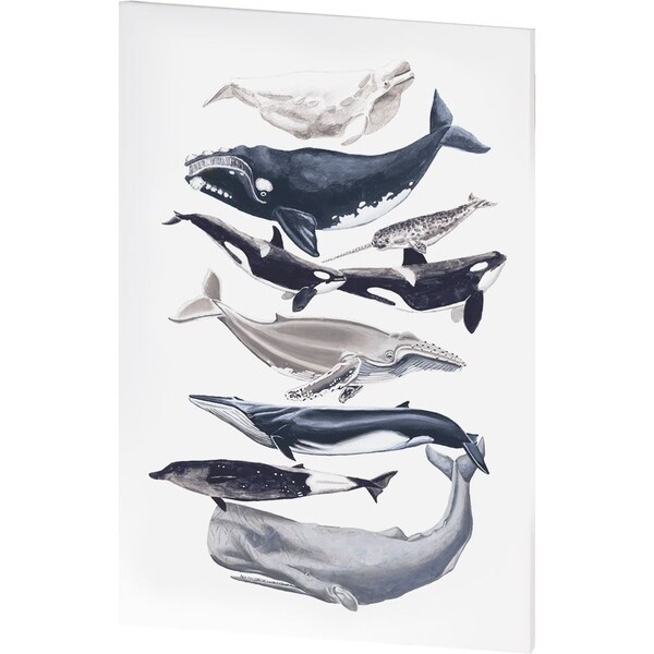 Mercana Whale Display I (36 X 54) Made to Order Canvas Art