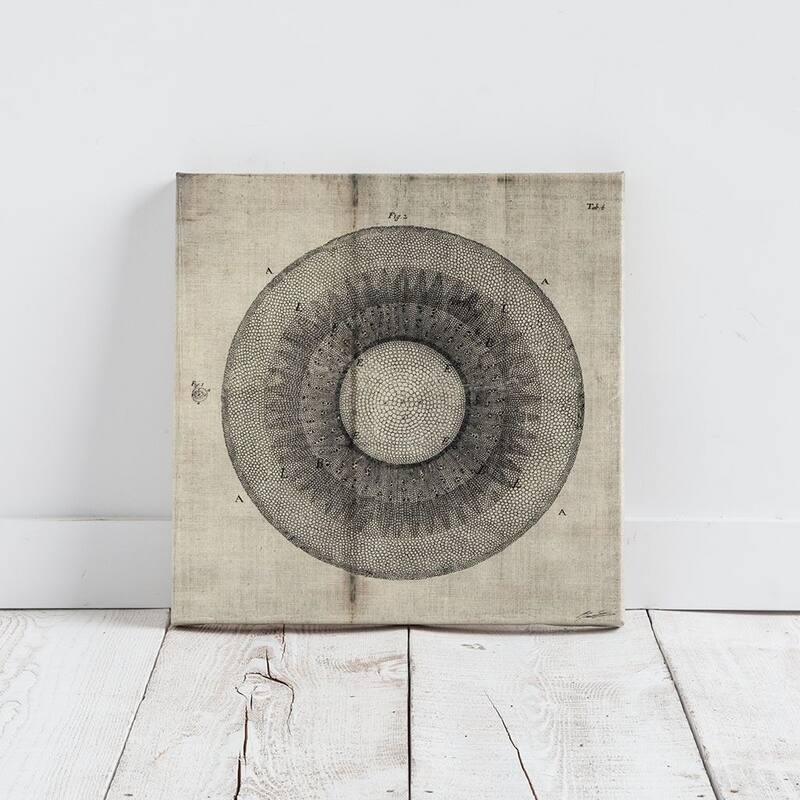 Mercana Cross Cut II (MC) (30 X 30) Made to Order Canvas Art