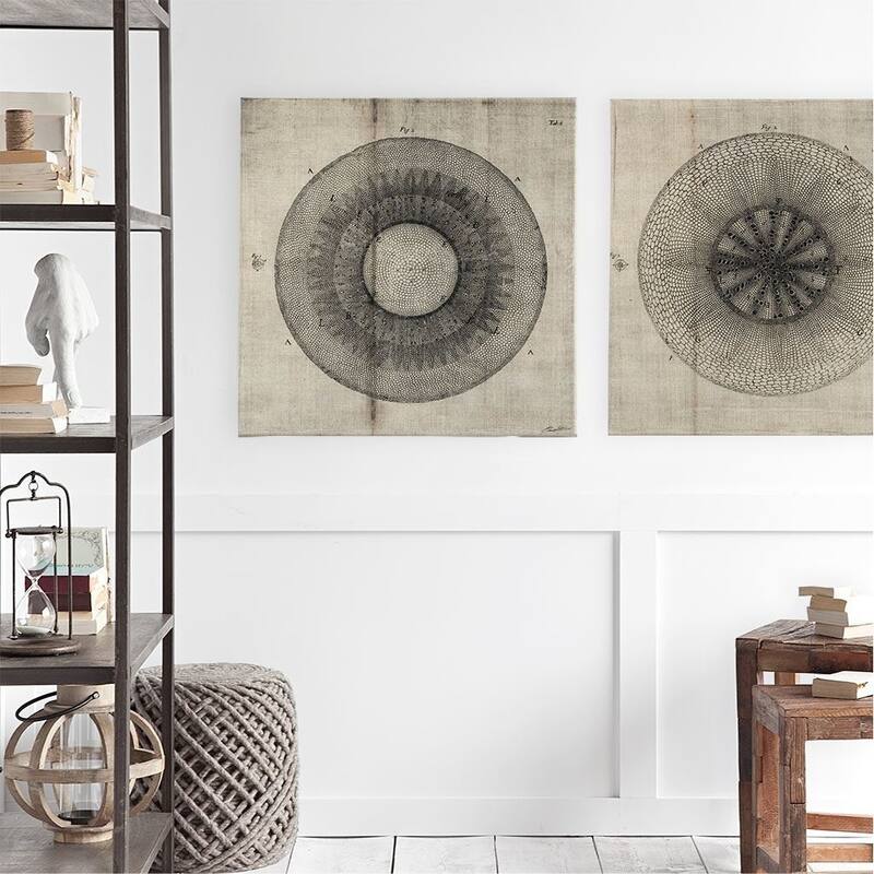 Mercana Cross Cut II (MC) (30 X 30) Made to Order Canvas Art
