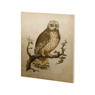 Mercana Antique Nozeman Owls II (30 x 37) Made to Order Canvas Art ...