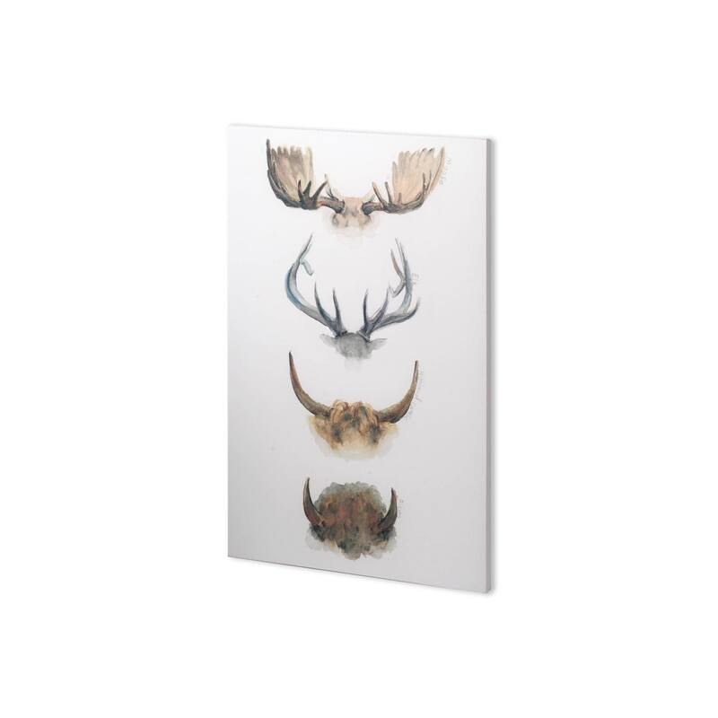 Mercana Horn & Tail Study II (25 x 37) Made to Order Canvas Art - Multi