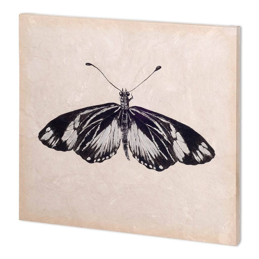 Mercana Butterfly Study VI (26 x 52 )(SET2) Made to Order Canvas Art
