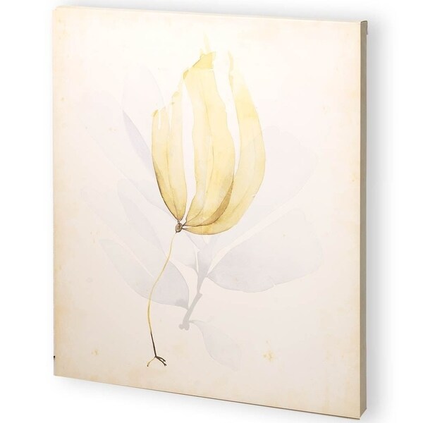 Mercana Watercolor Sea Grass III (44 x 55) Made to Order Canvas Art