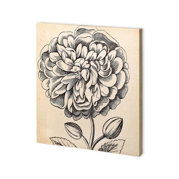 Mercana Graphic Floral V (30 x 30) Made to Order Canvas Art