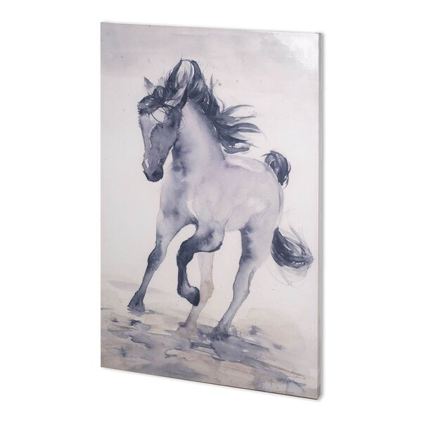 Mercana Windancer II (38 x 56) Made to Order Canvas Art