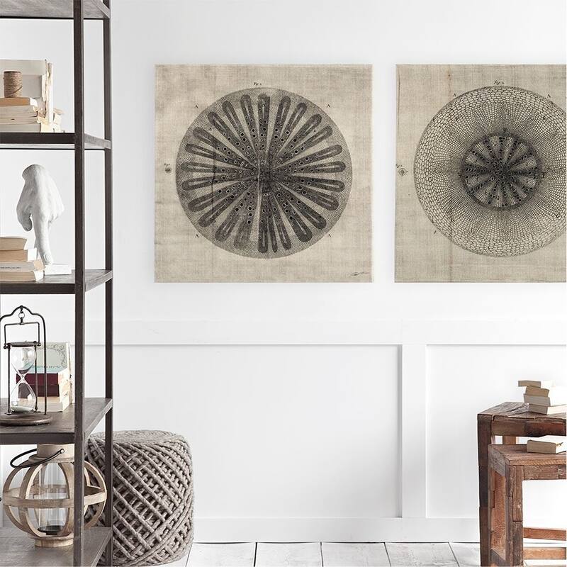 Mercana Cross Cut III (MC) (30 X 30) Made to Order Canvas Art