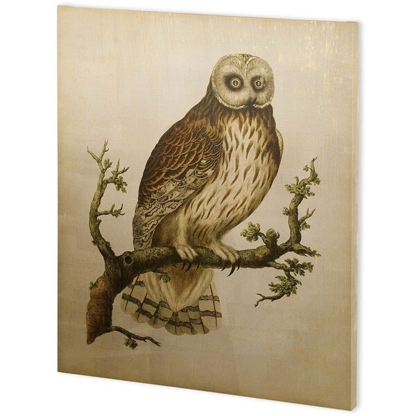 Mercana Antique Nozeman Owls II (44 x 55) Made to Order Canvas Art