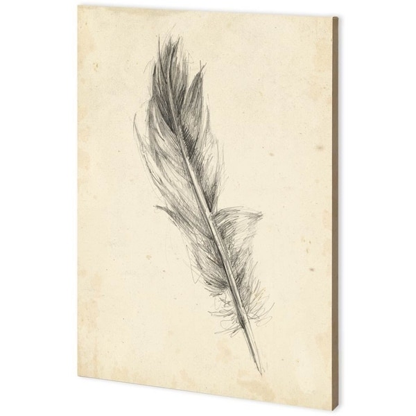 Mercana Feather Sketch IV (44 x 63) Made to Order Canvas Art