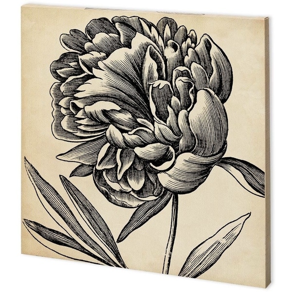 Mercana Graphic Floral II (44 x 44) Made to Order Canvas Art