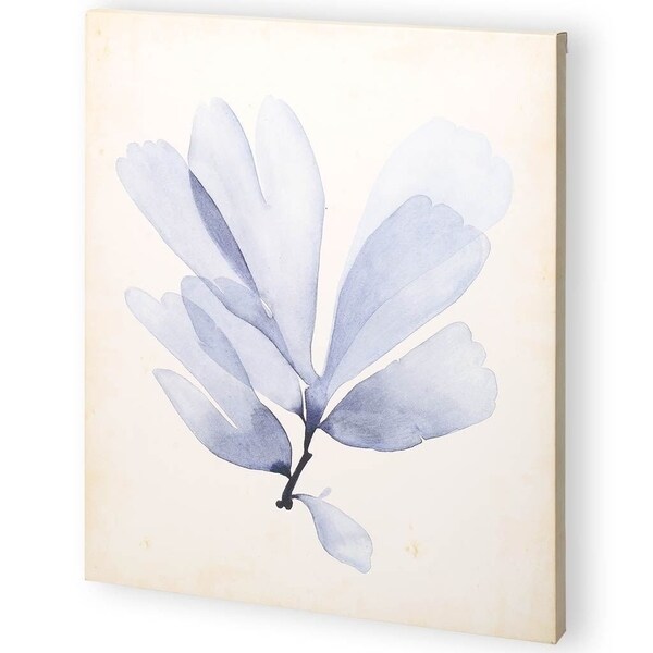 Mercana Watercolor Sea Grass II (44 x 55) Made to Order Canvas Art