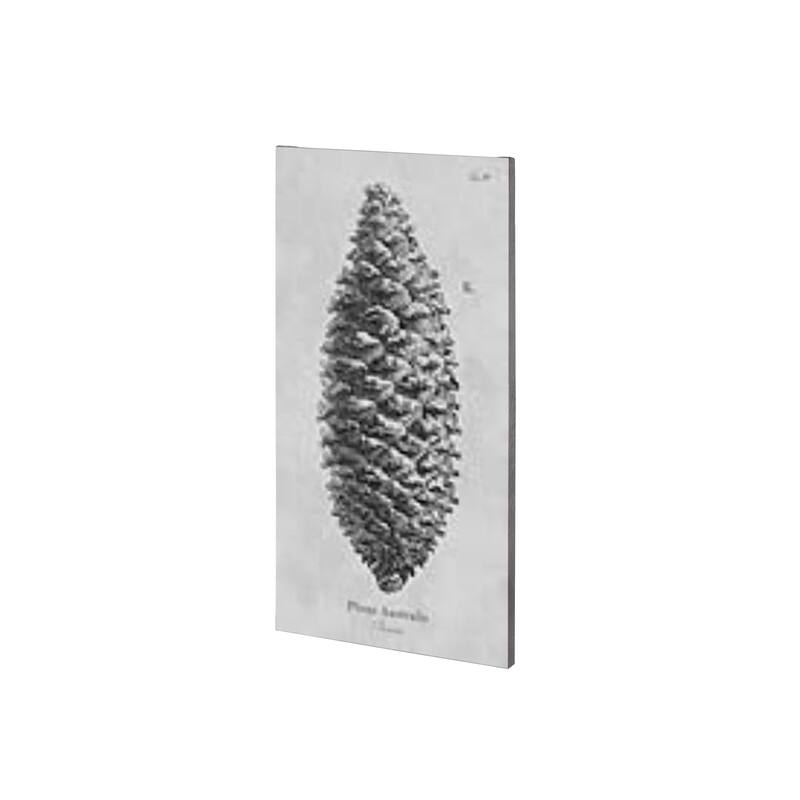 Mercana Pinus Australis (22 x 44) Made to Order Canvas Art