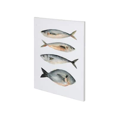 Mercana Four Fish I (27 x 36) Made to Order Canvas Art