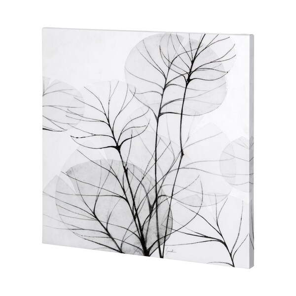 Mercana Moonlight Silhouette I (44 x 44) Made to Order Canvas Art