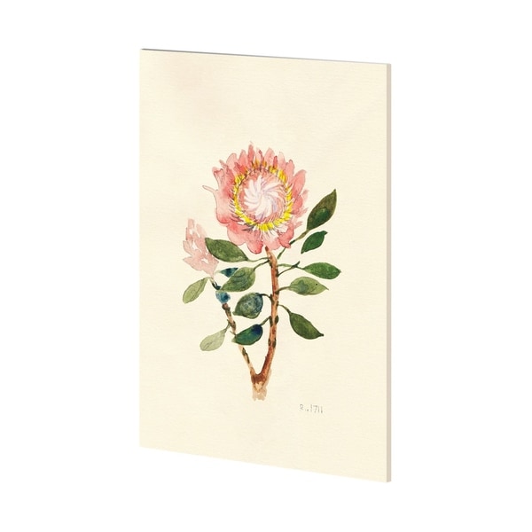 Mercana Fynbos (36 x 54) Made to Order Canvas Art