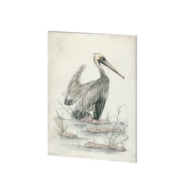 Mercana Brown Pelican (27 x 36) Made to Order Canvas Art - Multi