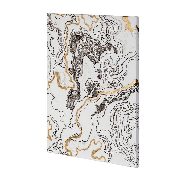Mercana Topography I (36 x 48) Made to Order Canvas Art