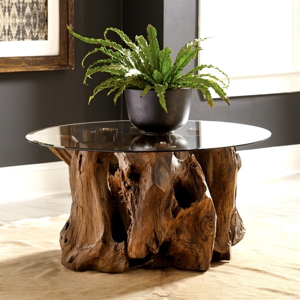 Shop Genuine Teak Root Coffee Table with Tempered Glass