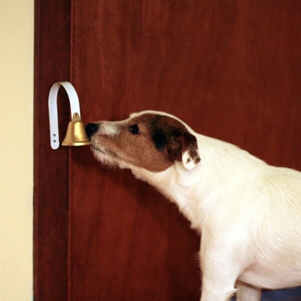 puppy doorbell