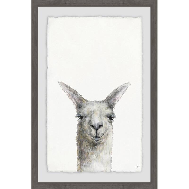 Mischievous Llama' Framed Painting Print - Multi-Color