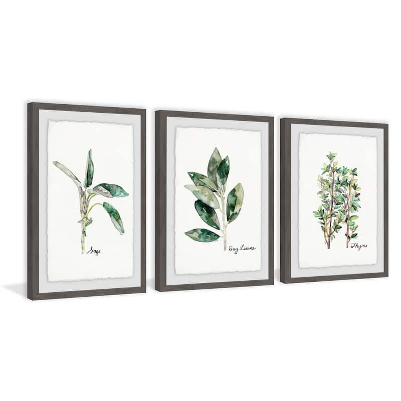 Marmont Hill - Handmade Herb Trio Triptych - Multi-Color
