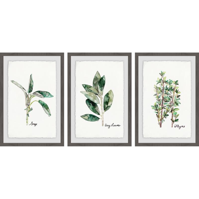 Marmont Hill - Handmade Herb Trio Triptych - Multi-Color