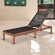 Amazonia Outdoor Sling Eucalyptus Chaise Lounger - N/A - Thumbnail 1