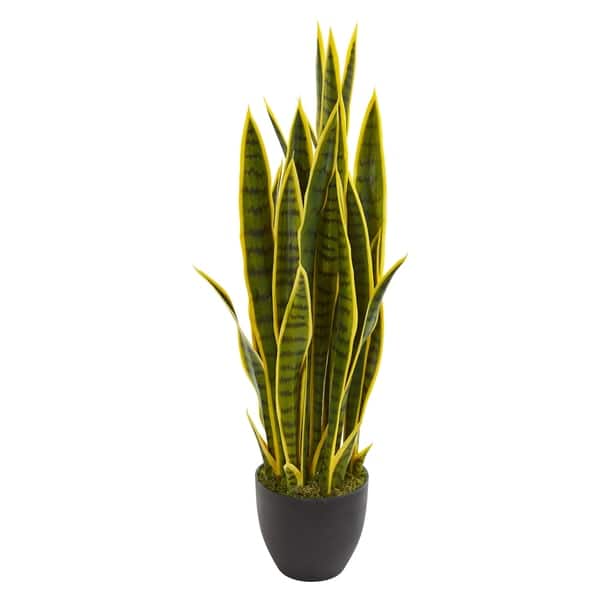 large indoor plant pot Conic Planter Black