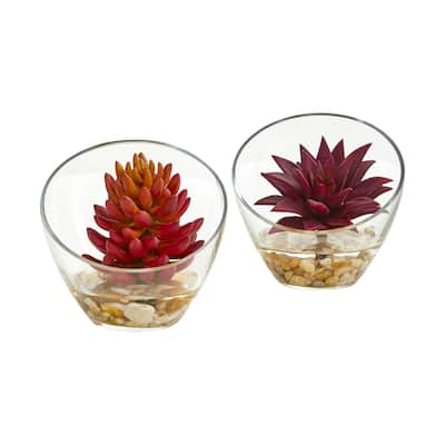 6" Succulent Artificial Plant in Glass Vase (Set of 2)