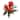 16" Double Bromeliad Artificial Flower (Set of 6)