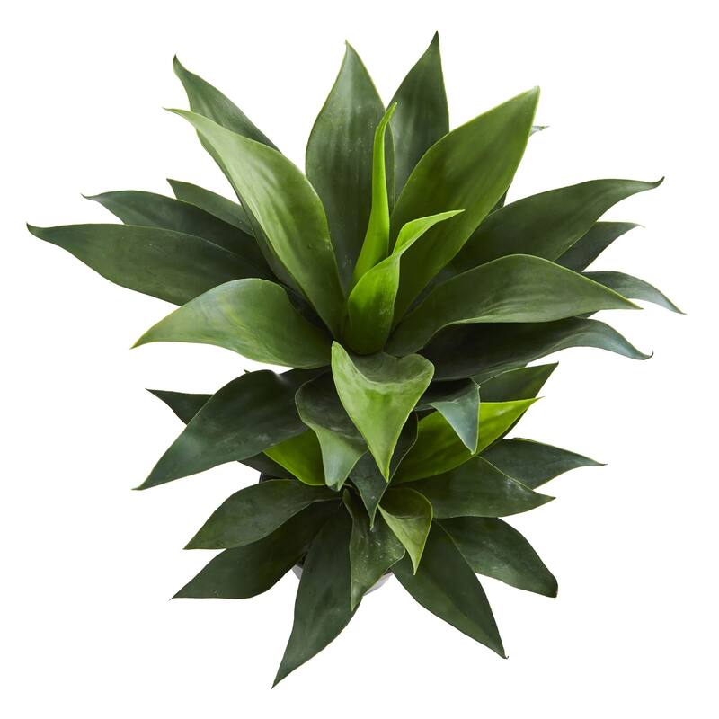 29" Double Agave Succulent Artificial Plant