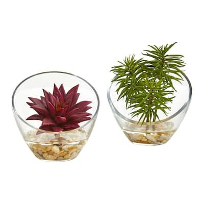 Succulent Artificial Plant in Slanted Glass Vase (Set of 2)