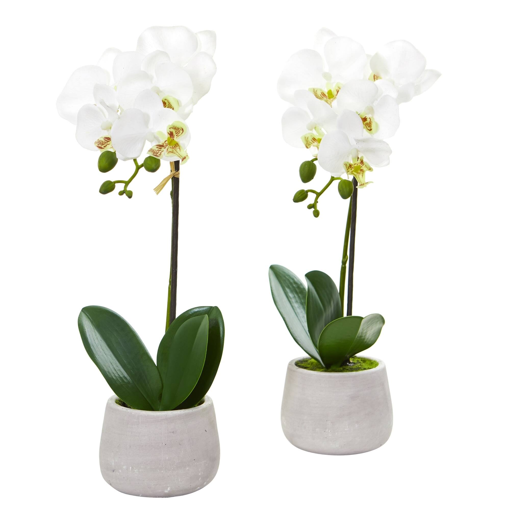 Phalaenopsis Orchid Artificial Arrangement (set Of 2) - On Sale - Bed 