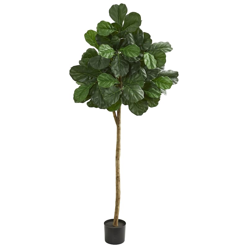 6' Fiddle Leaf Fig Artificial Tree - Bed Bath & Beyond - 26039770