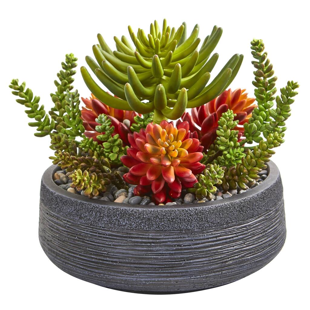 12" Succulent Garden Artificial Plant in Bowl