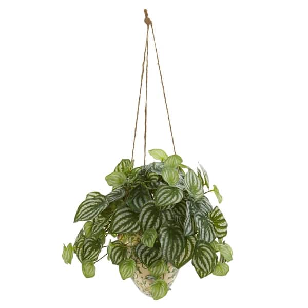 Nearly Natural Real Touch Watermelon Peperomia 24 Inch High Artificial Plant In Hanging Ceramic Vase On Sale Overstock 26039841