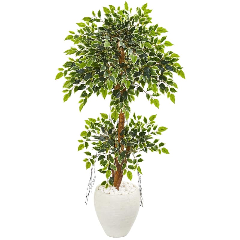 56" Variegated Ficus Artificial Tree in White Planter