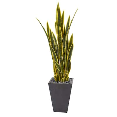 4.5' Sansevieria Artificial Plant in Slate Planter