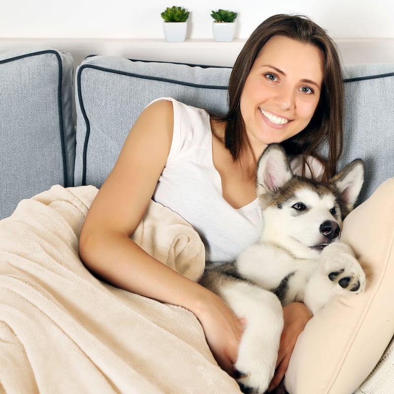 Waterproof Pet Blanket 60inx50in Plush Throw Protects Furniture by Petmaker