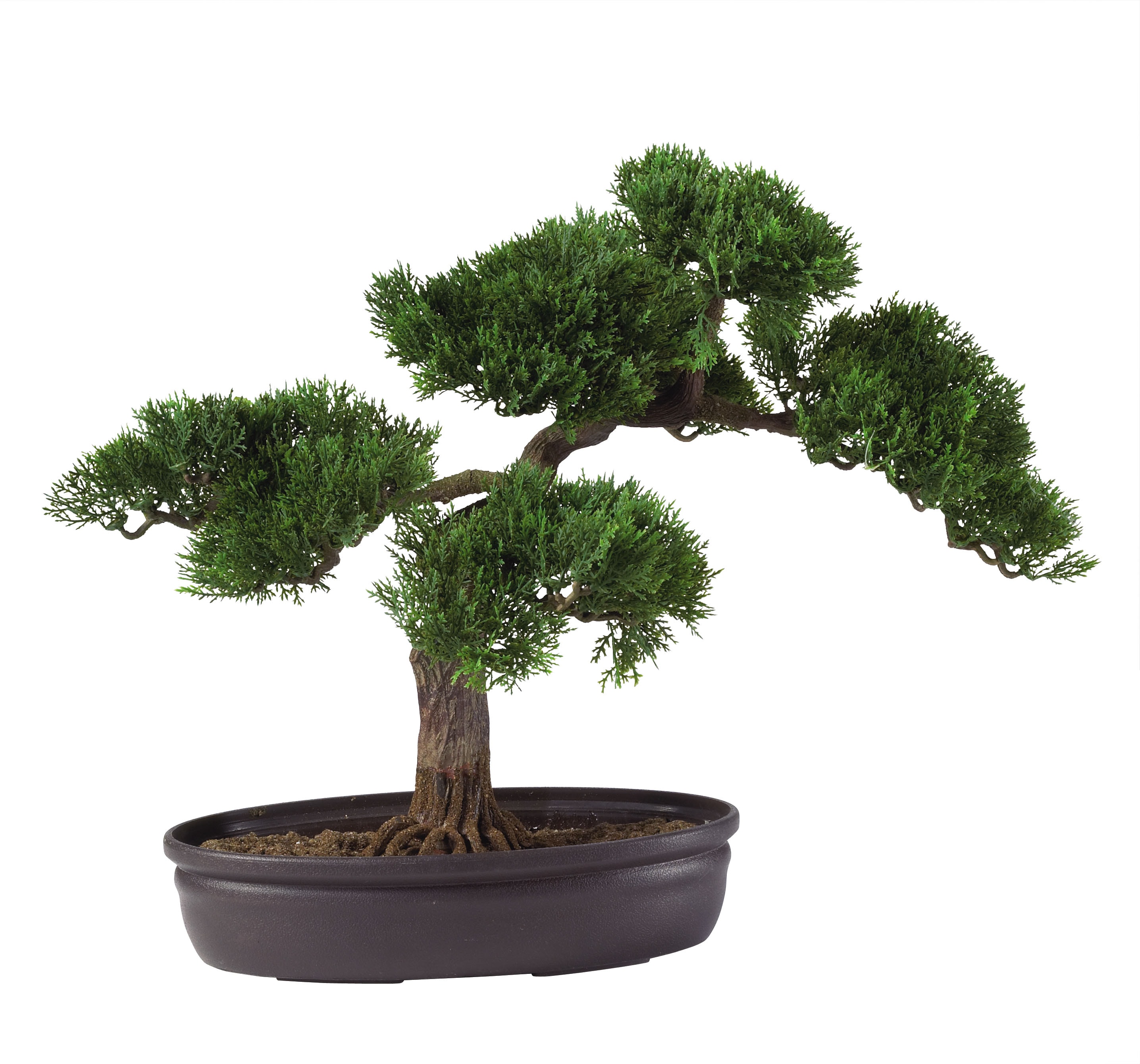 Great Bonsai Artificial Tree Don t miss out | leafyzen