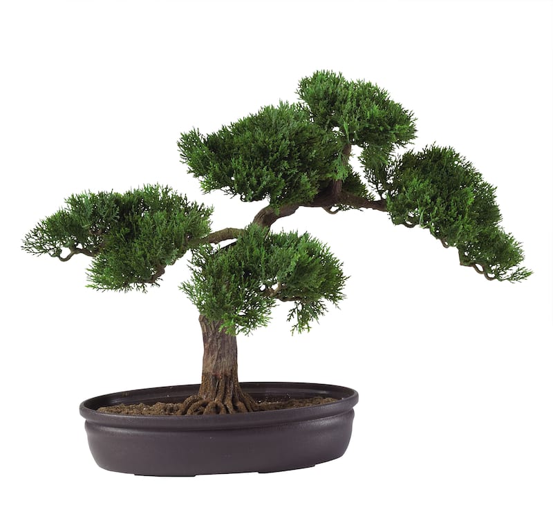 Artificial Bonsai Tree (16 in.) - Green - Cedar
