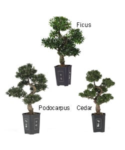 Artificial Bonsai Tree (36 in.) - On Sale - Bed Bath & Beyond - 2616414
