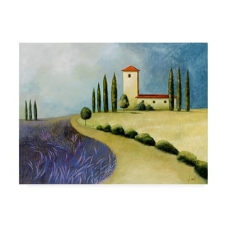 Pablo Esteban Tuscan Villas Paint 3 Canvas Art - Bed Bath & Beyond ...