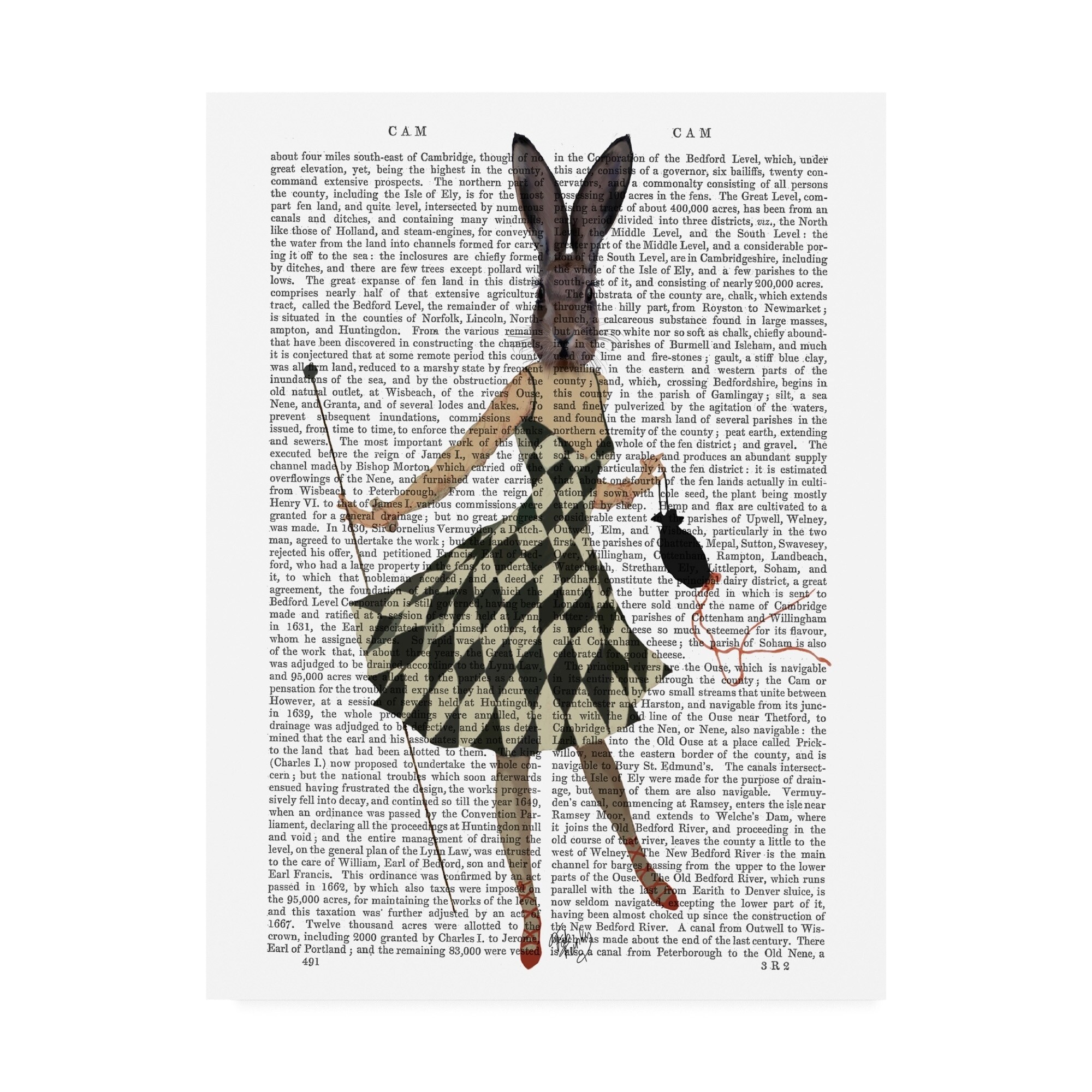 Fab Funky Rabbit in Black White Dress Canvas Art - Bed Bath