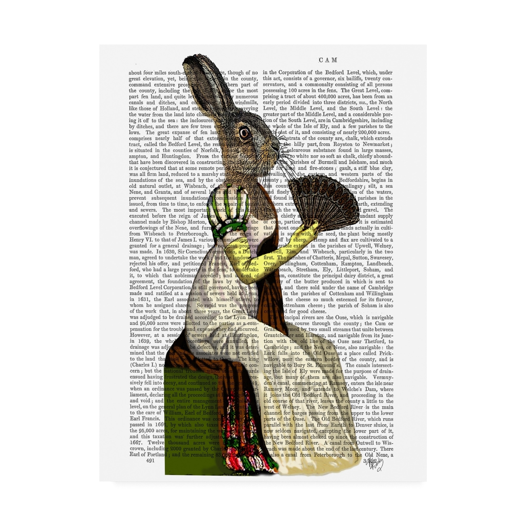 Fab Funky Miss Hare Canvas Art - Bed Bath & Beyond - 26171704