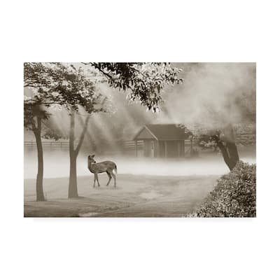 Monte Nagler Deer In Morning Mist Canvas Art