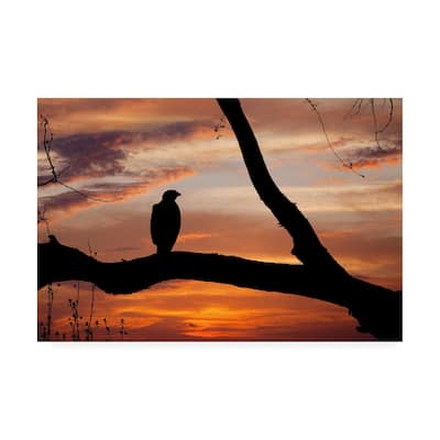 Monte Nagler Eagle Sunset Canvas Art