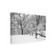 Monte Nagler Snowscape Farmington Hills Michigan Canvas Art - Bed Bath ...